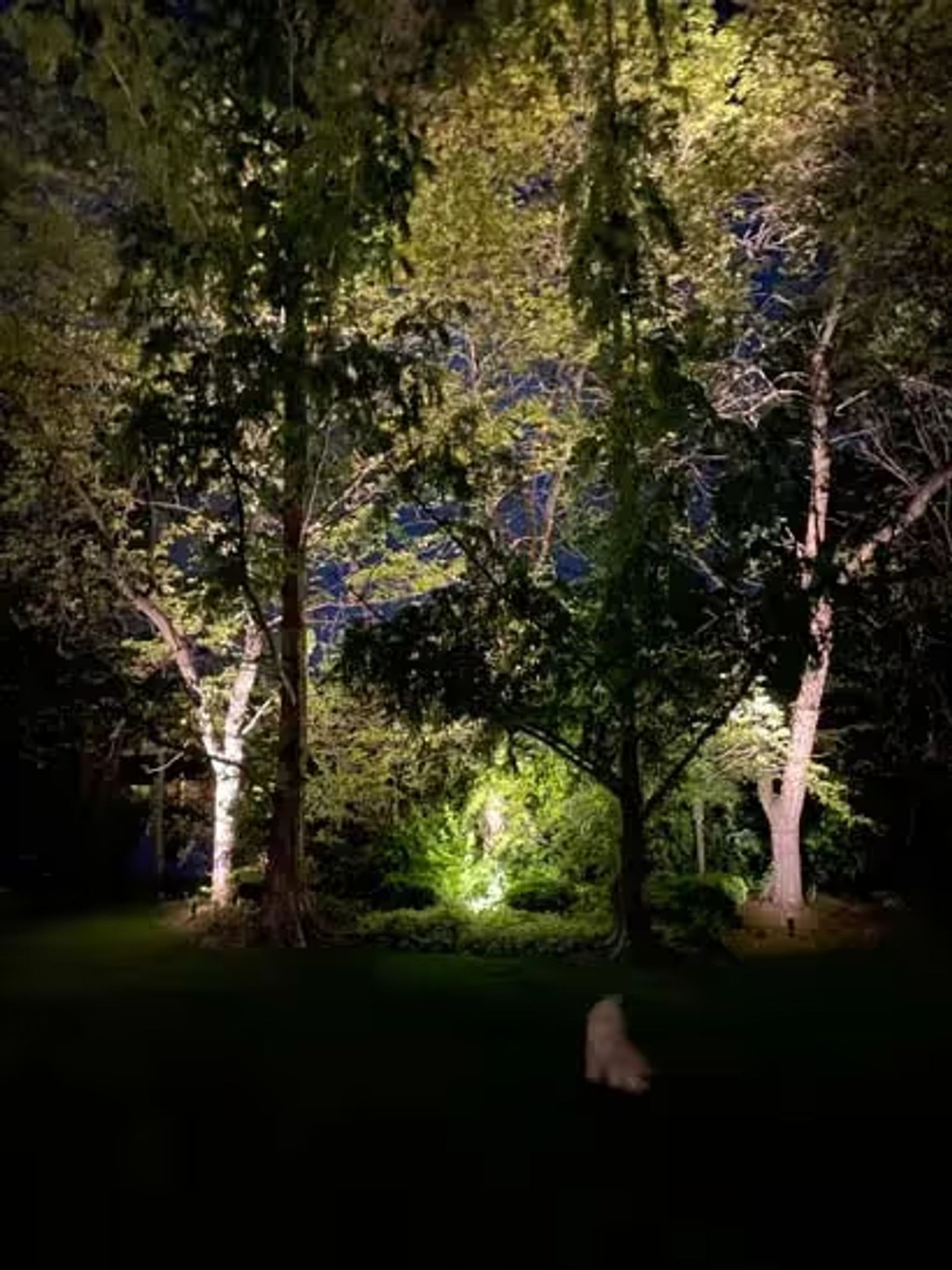 Exterior Lighting