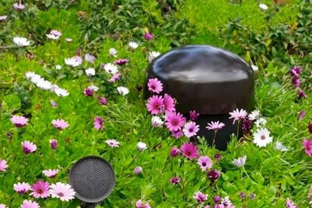 Outdoor Audio Systems
