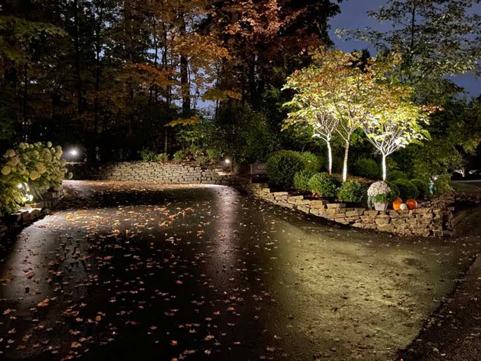 landscape lighting