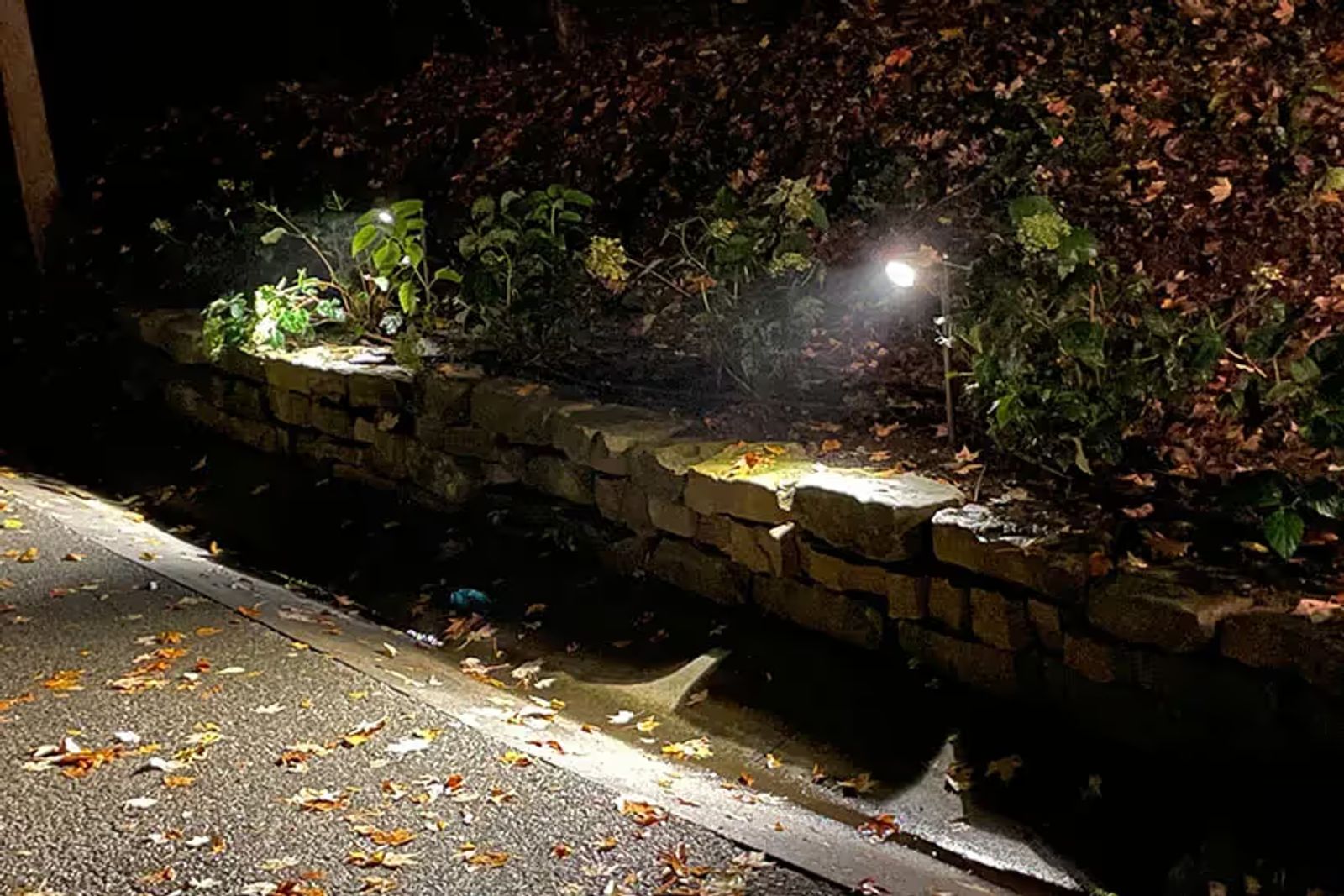 Hardscape Lighting