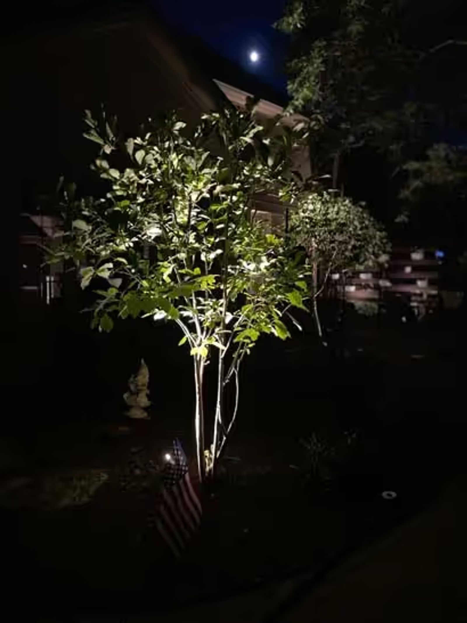 exterior lighting