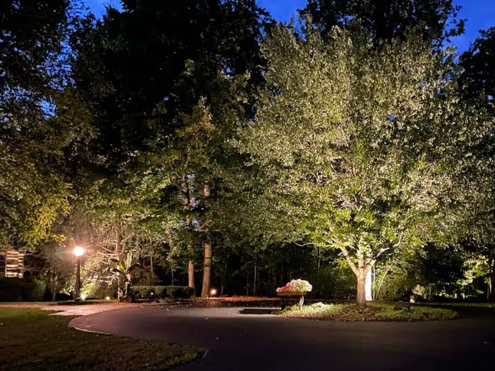 landscape lighting