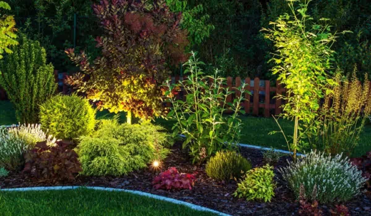 Amplify Your Outdoor Space with Stunning Lighting for Summer