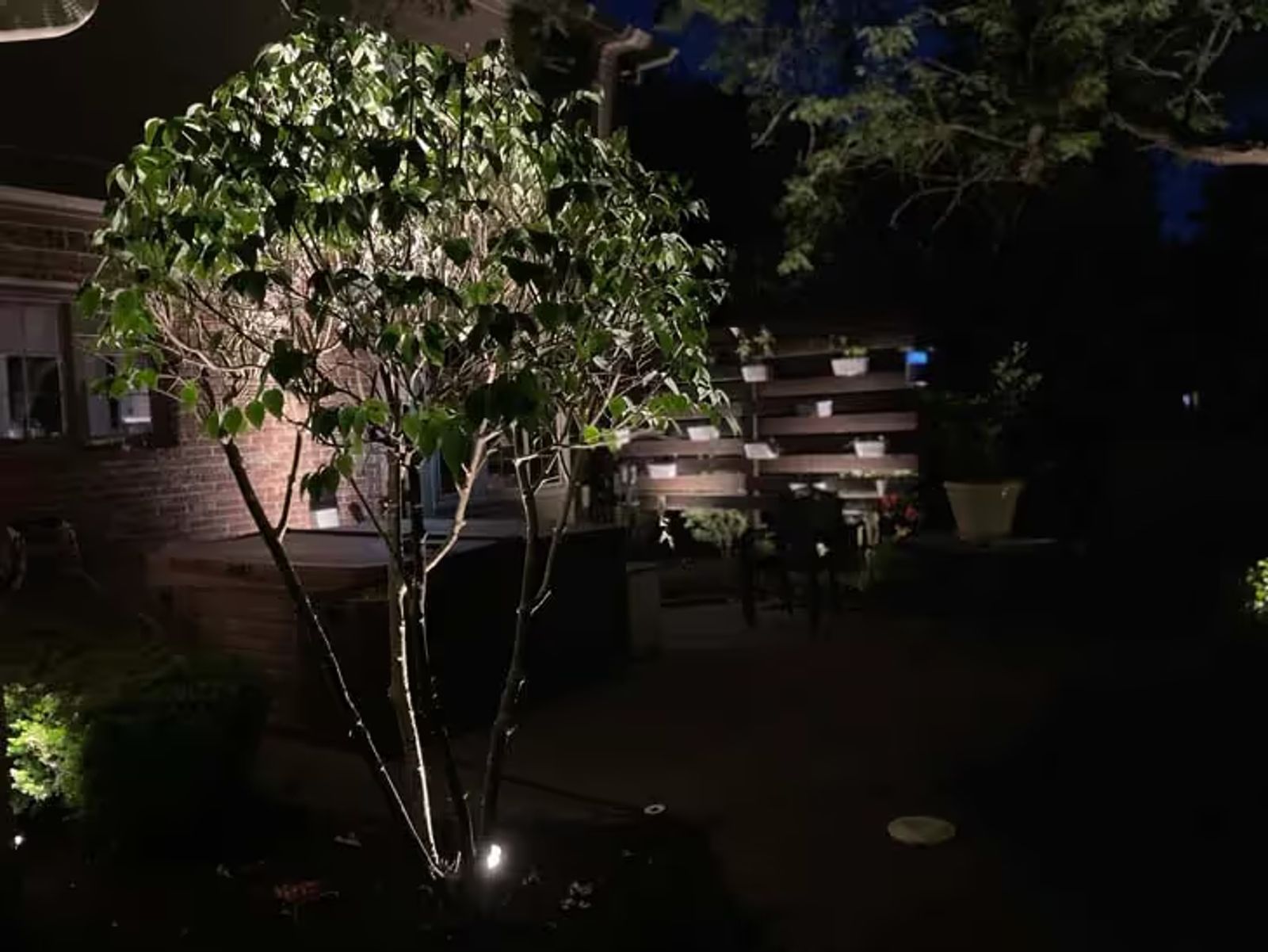 exterior accent lighting
