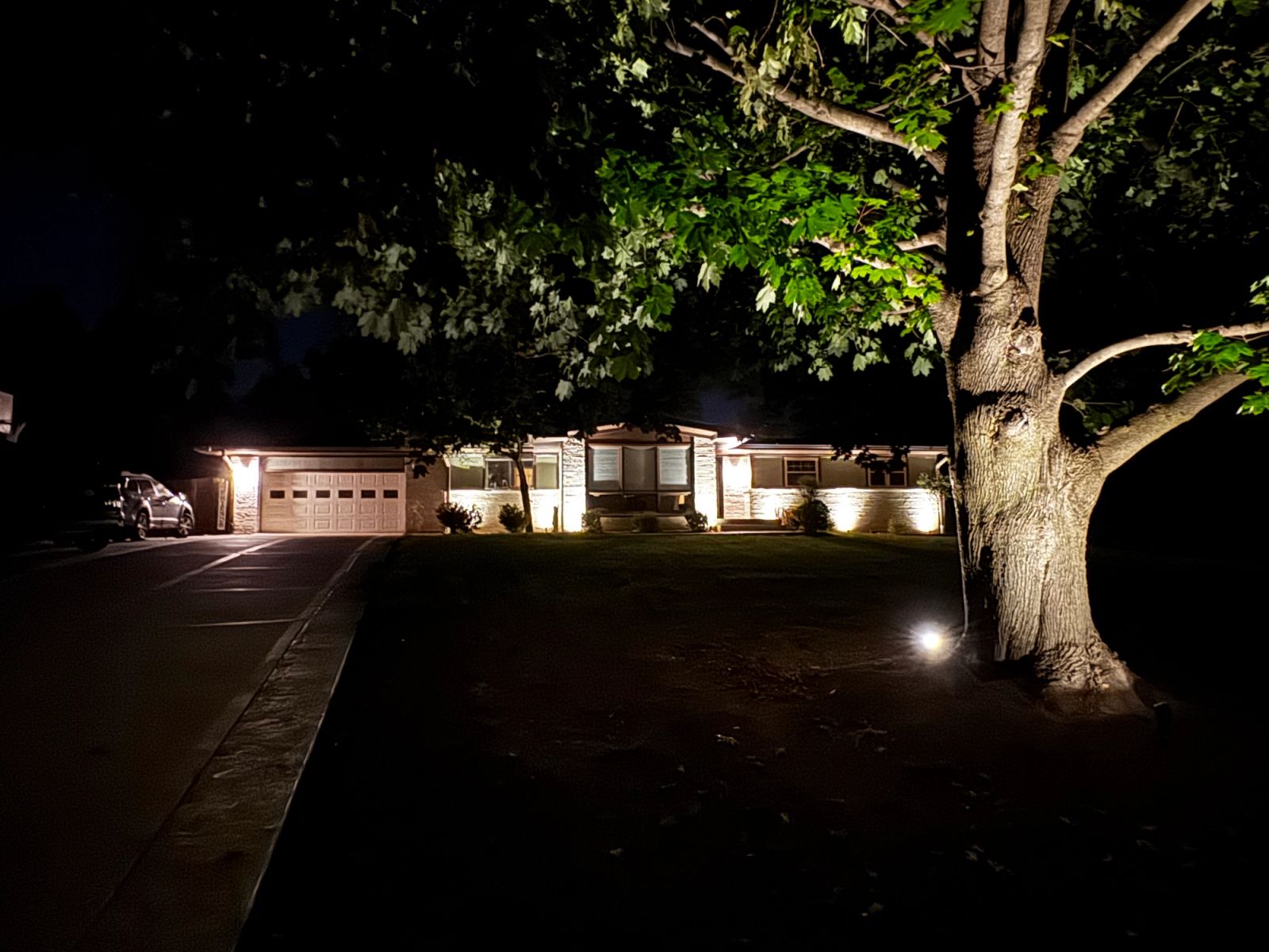 Landscape Lighting