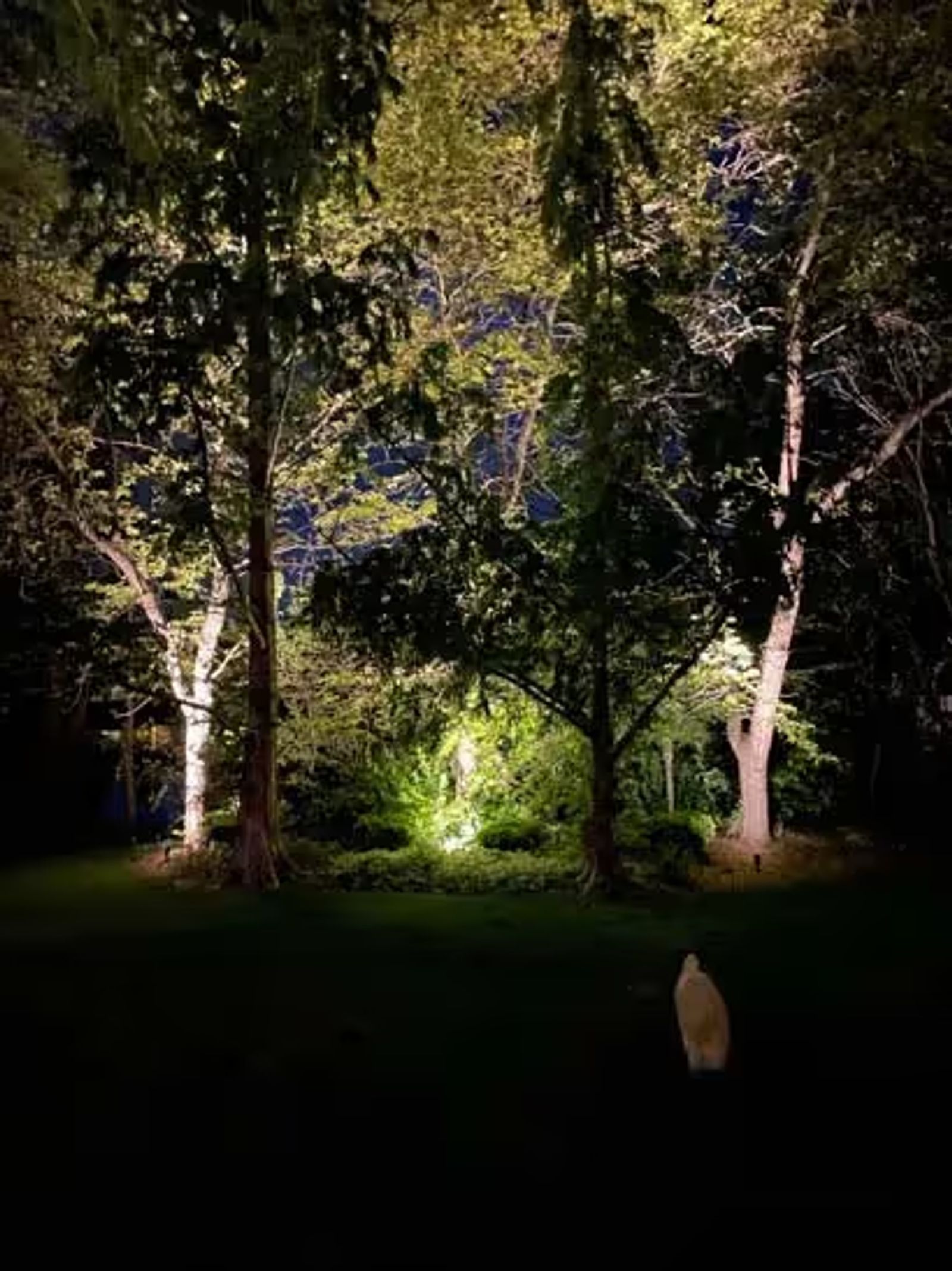 exterior lighting