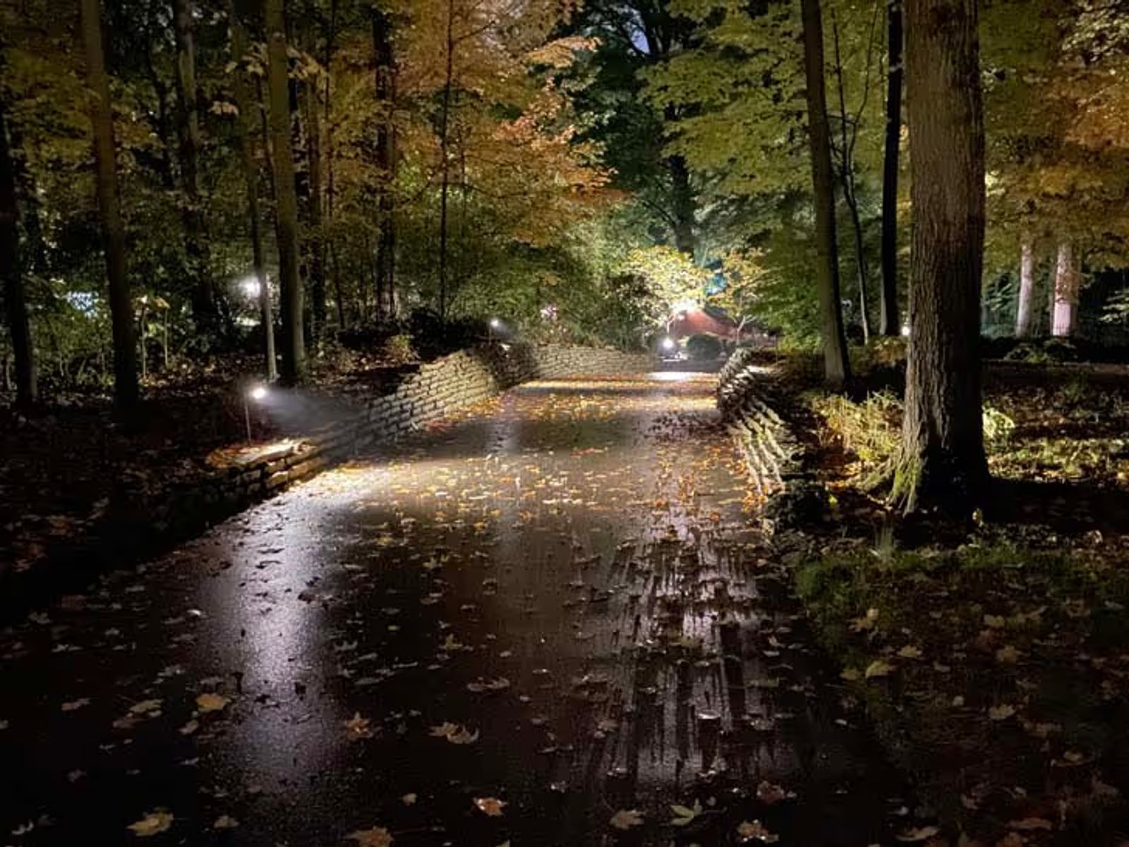 landscape lighting