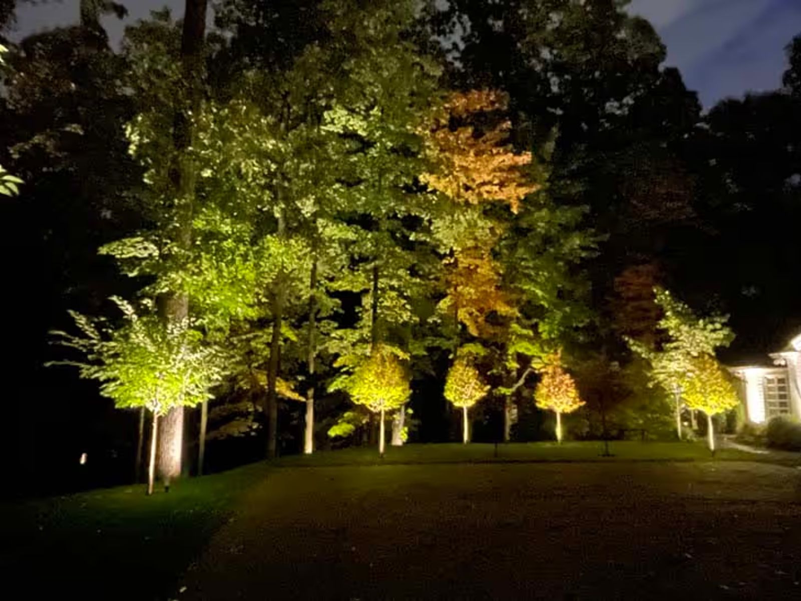 landscape lighting