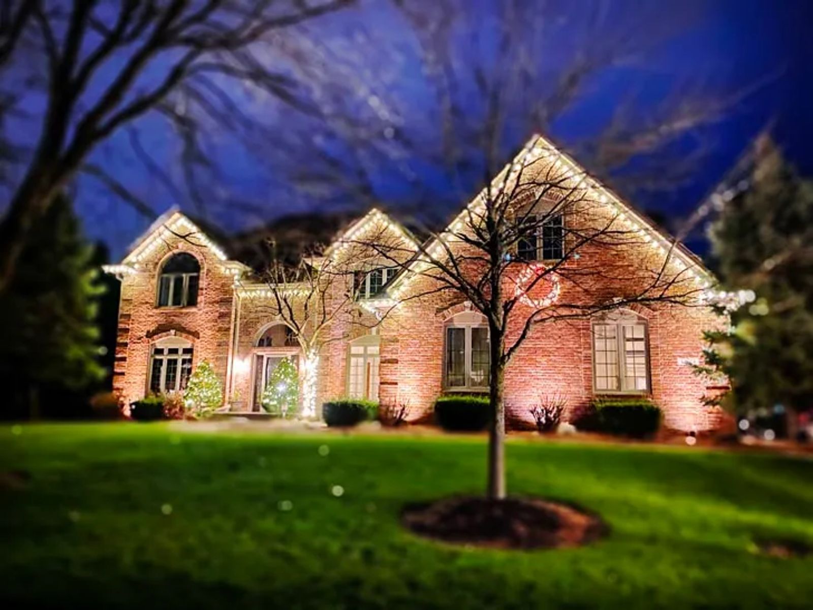 Holiday Lighting