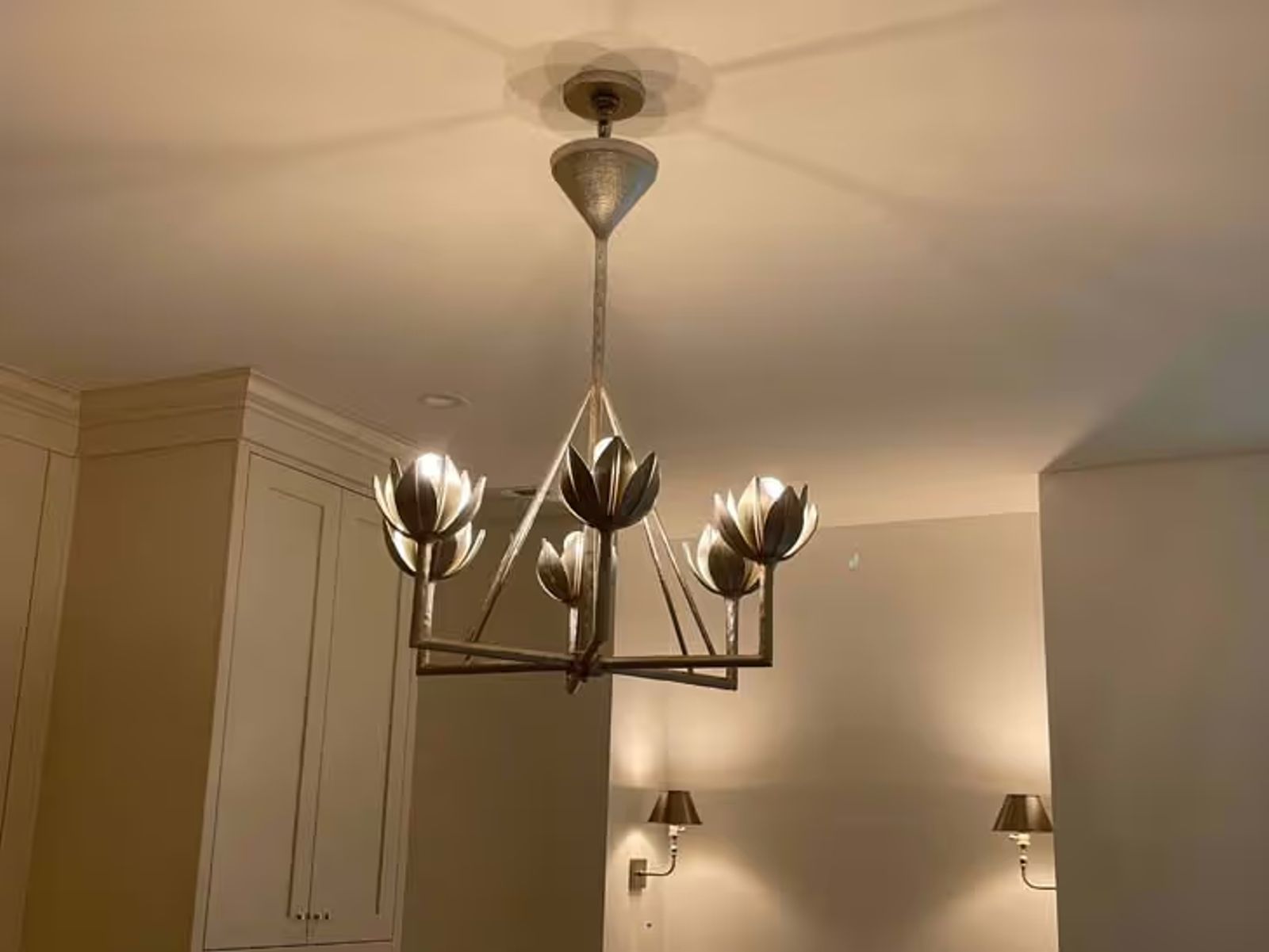 Ceiling Lights