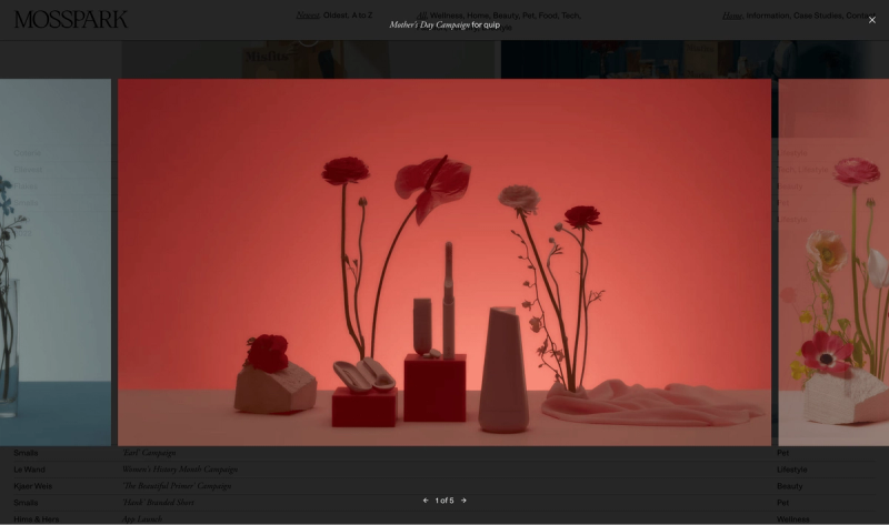 open lightbox gallery view