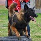 I'Gabbro des Loups Roccia Nera MR 3