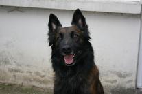 Varak du Clos du Richaumoine