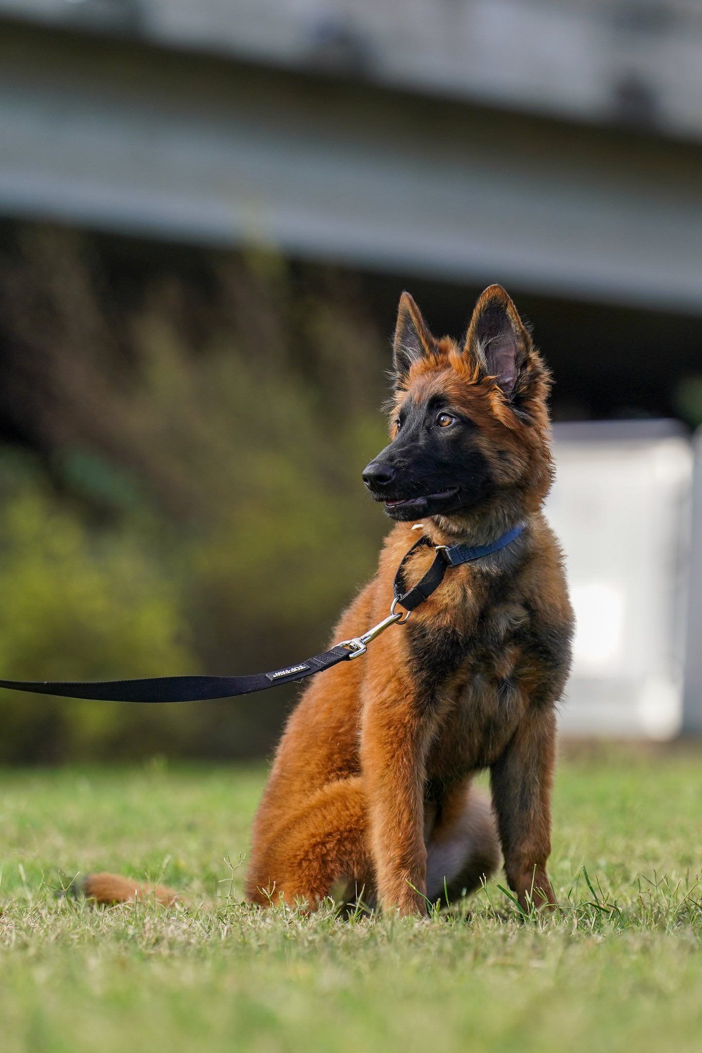 Hands of God - image 2