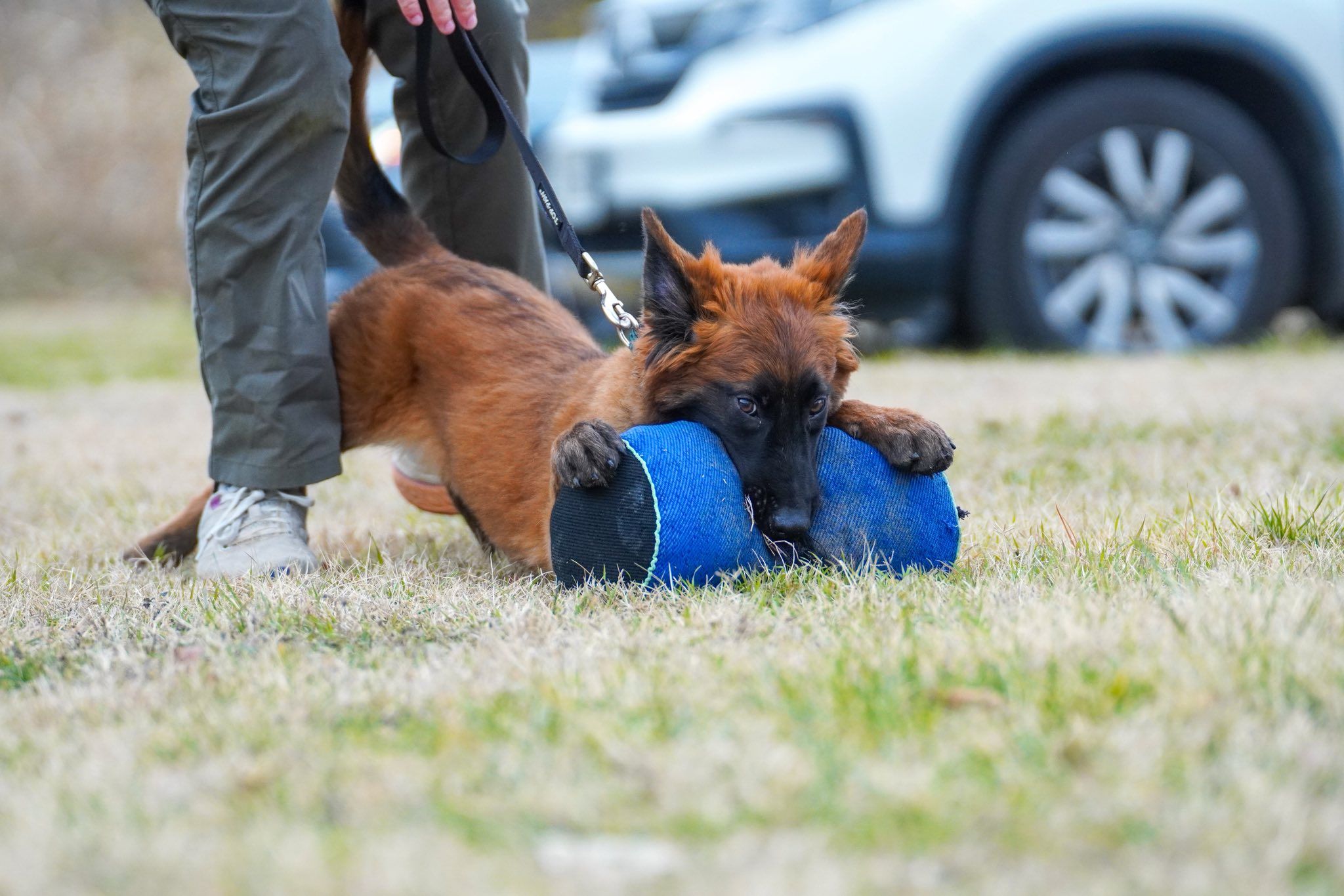 Hands of God - image 1