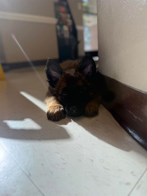 Heavy Metal - image 1