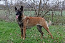 Ma'Bitch de Sol Casa