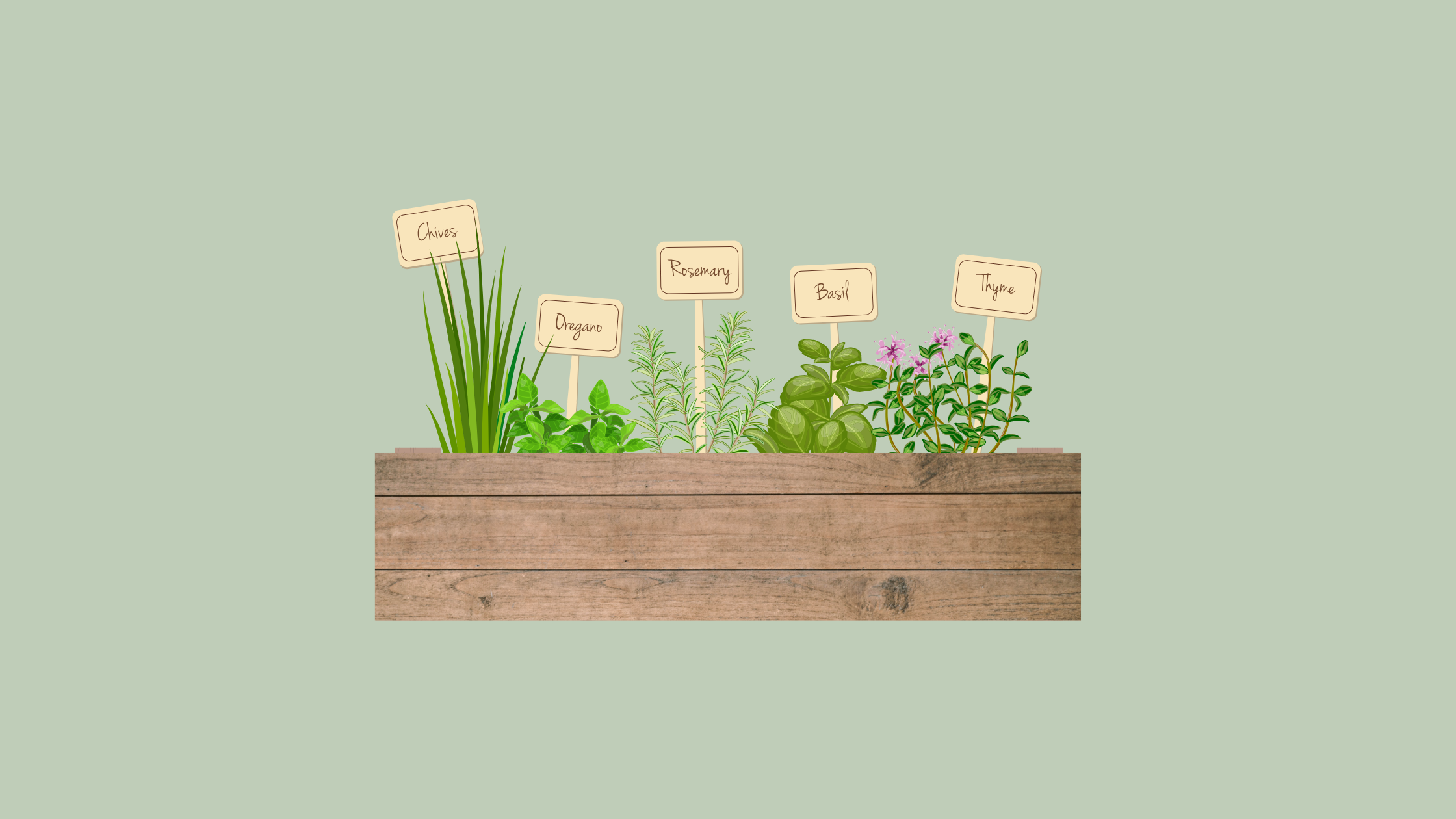Grow Fresh Herbs Indoors All Year Round - Easy Tips for Beginners ...