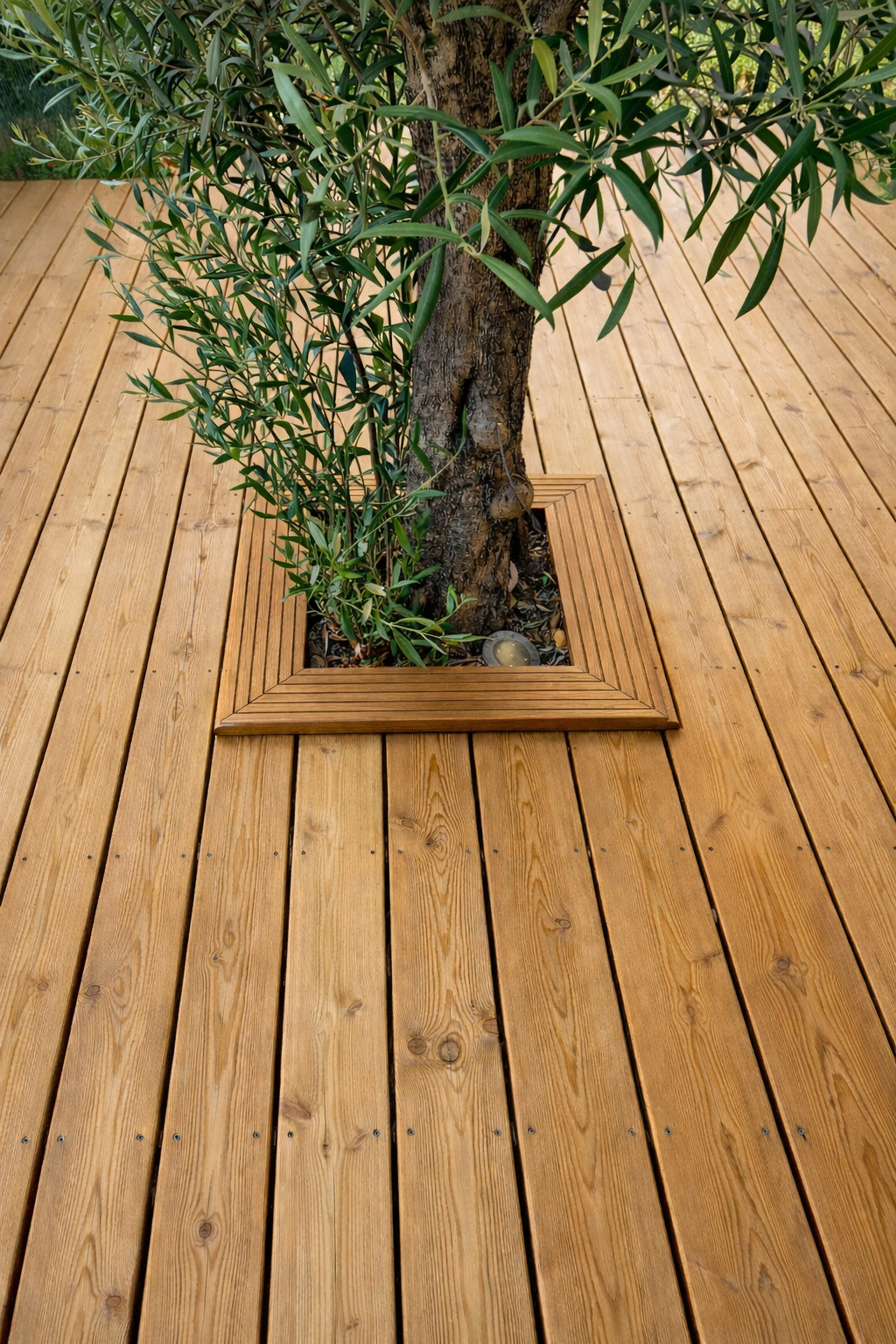 img terrasse