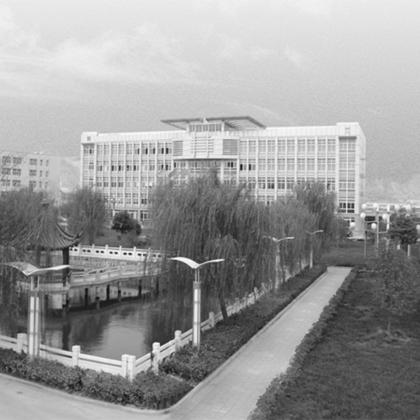 2003