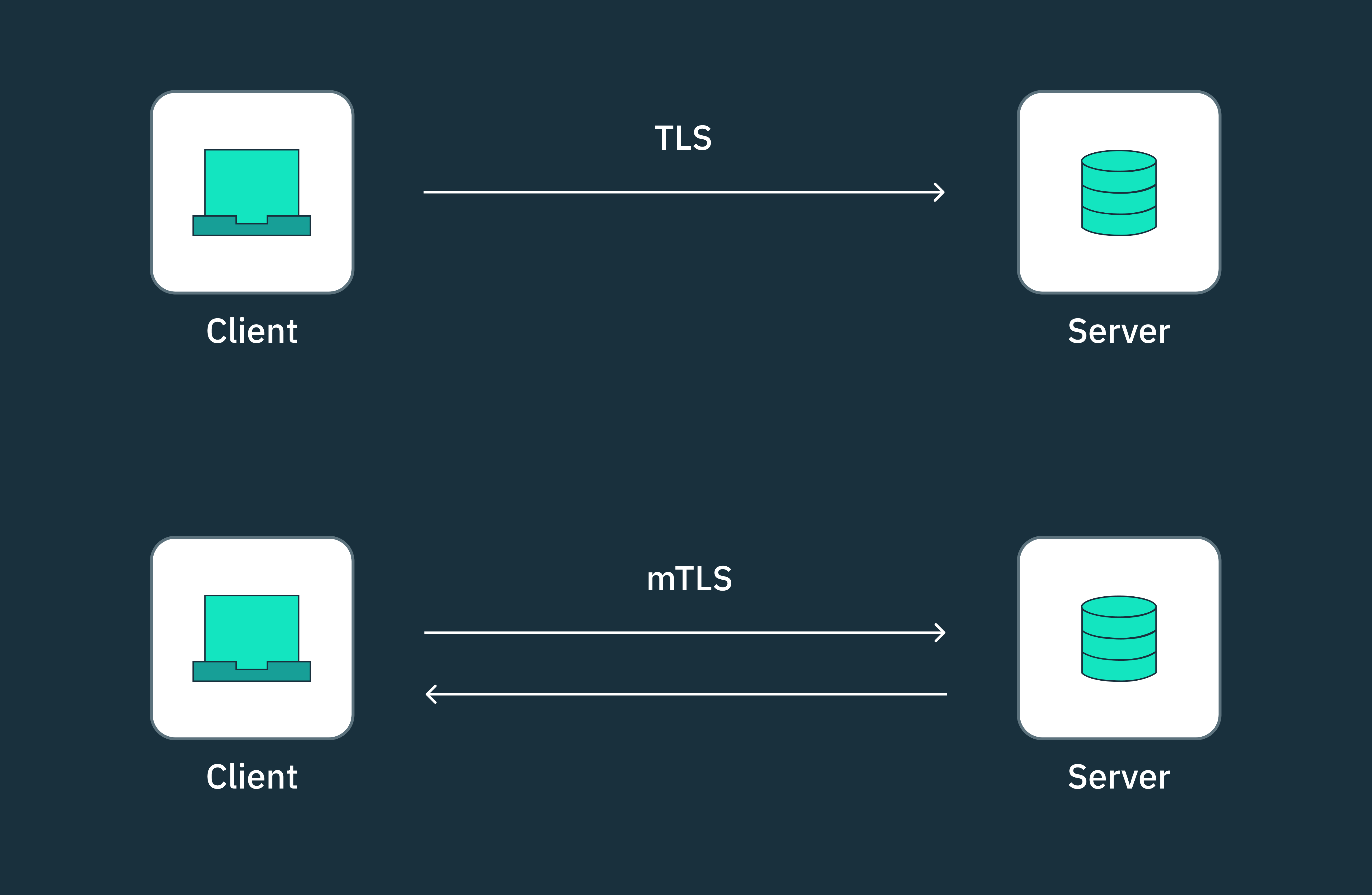 TLS and mTLS