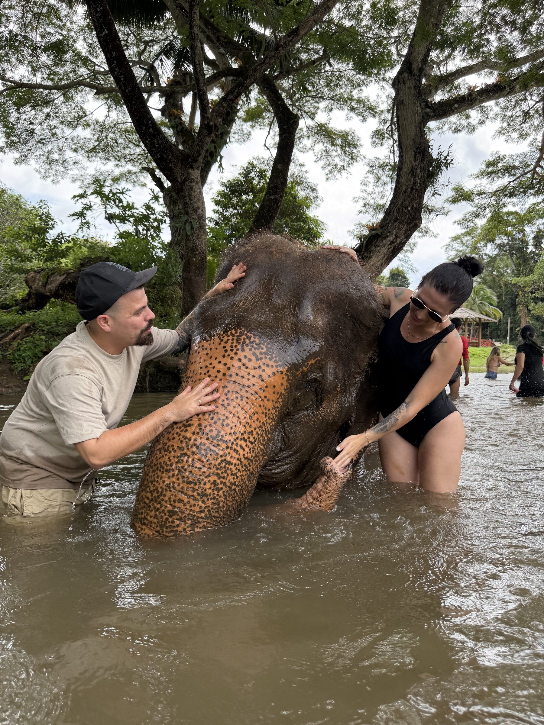 Memorias de África galería 6