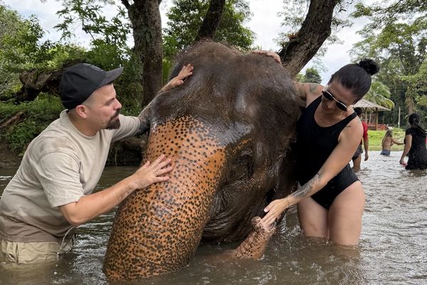 Memorias de África galería 6