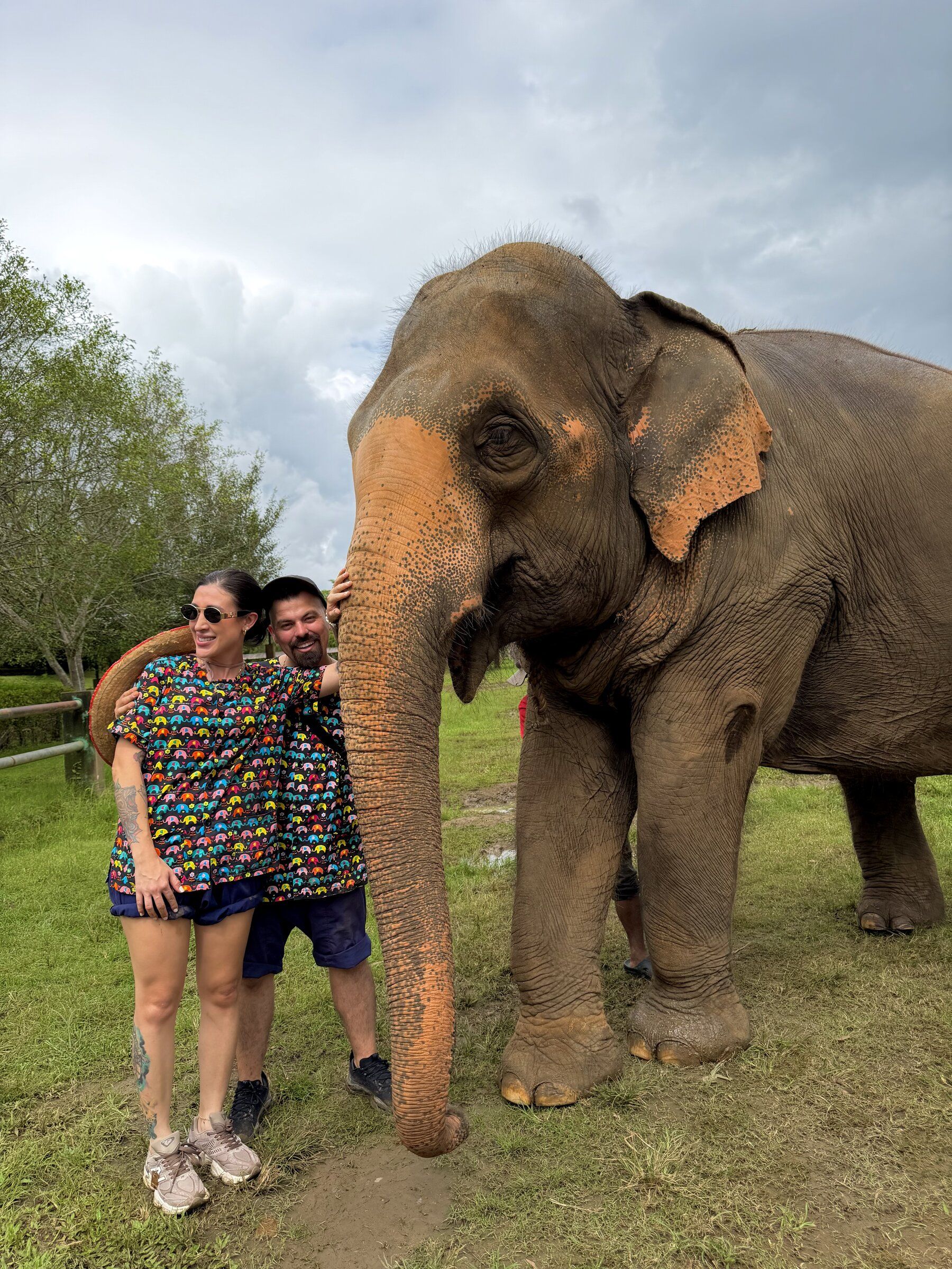 Memorias de África galería 8