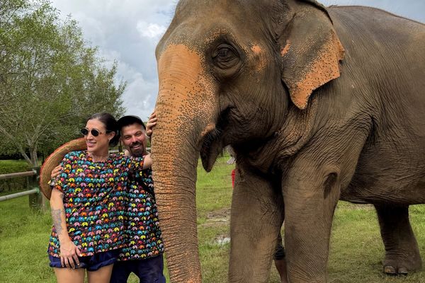 Memorias de África galería 8