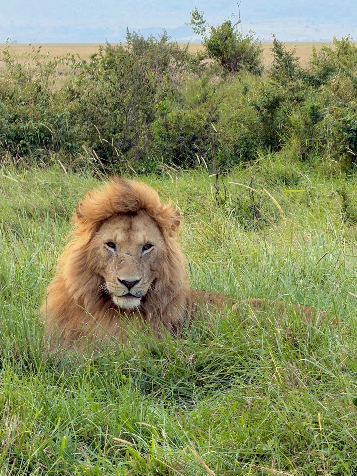 Memorias de África