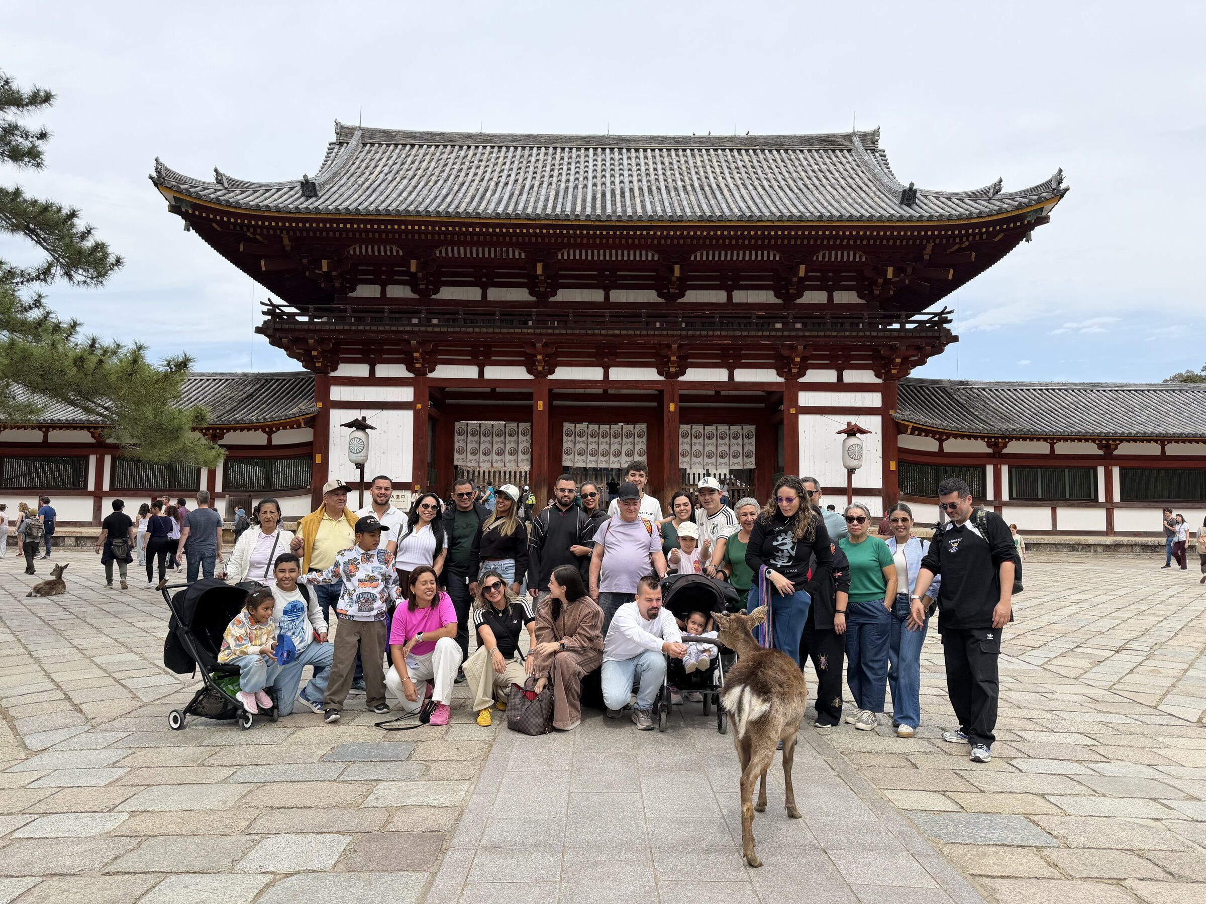 Tour Japon durante la floración de cerezos, entre tradición milenaria, Templos, ceremonias del té, monte Fuji y Miyajima en una experiencia única que quedará para siempre en tu memoria.