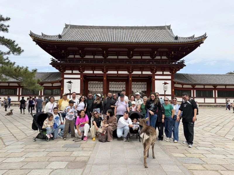 Tour Japon durante la floración de cerezos, entre tradición milenaria, Templos, ceremonias del té, monte Fuji y Miyajima en una experiencia única que quedará para siempre en tu memoria.