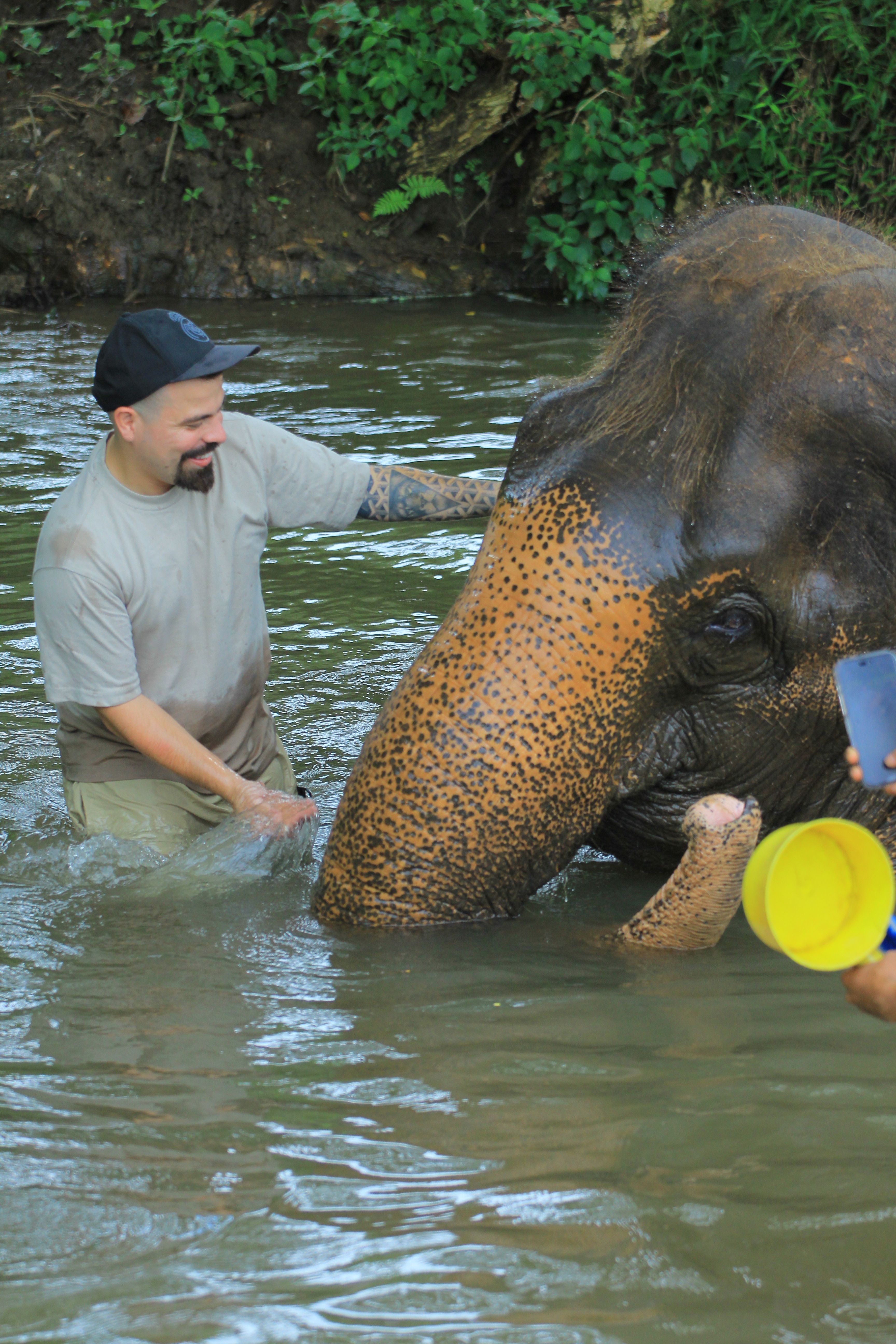 Memorias de África galería 5
