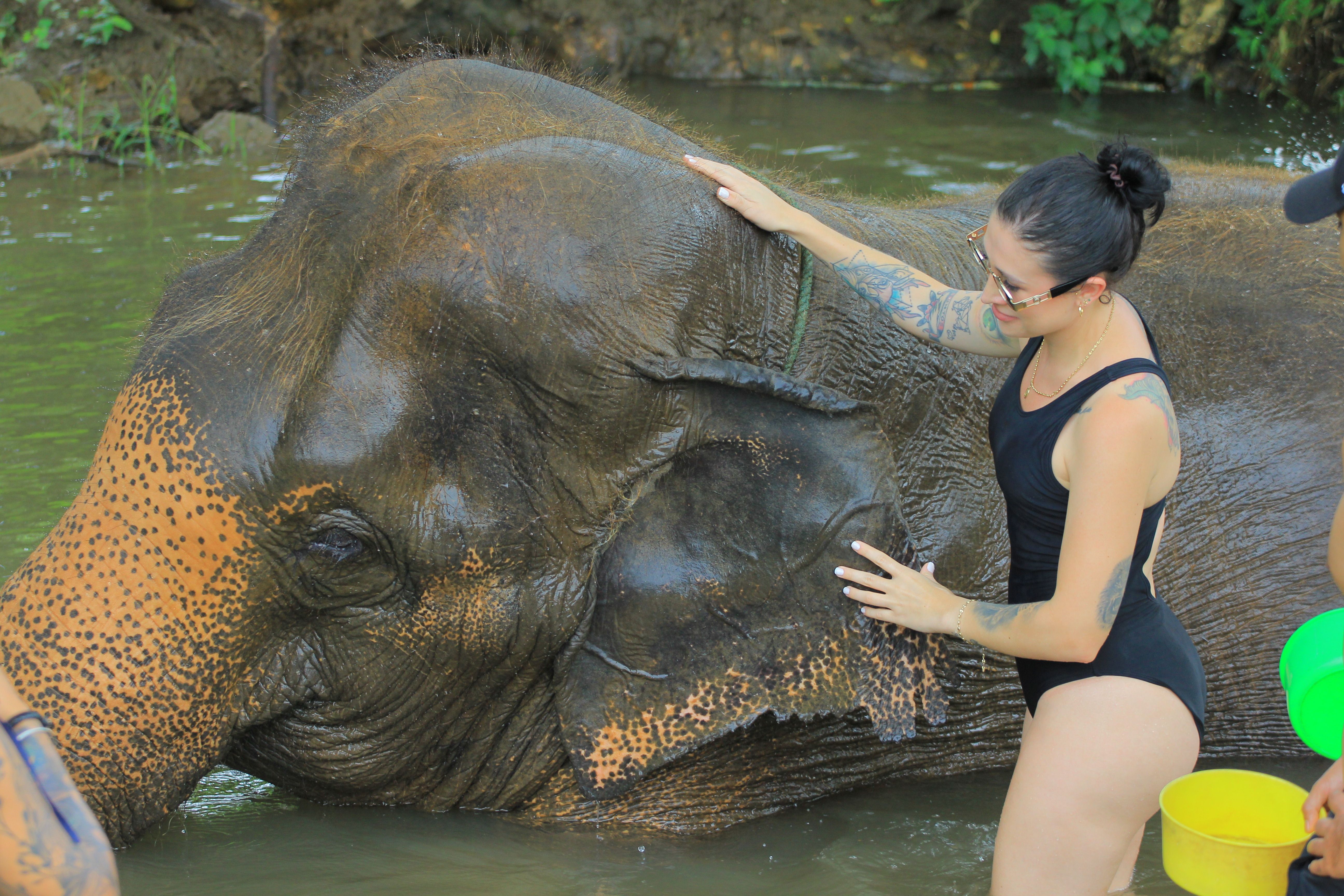 Memorias de África galería 2