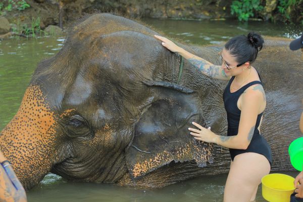 Memorias de África galería 2