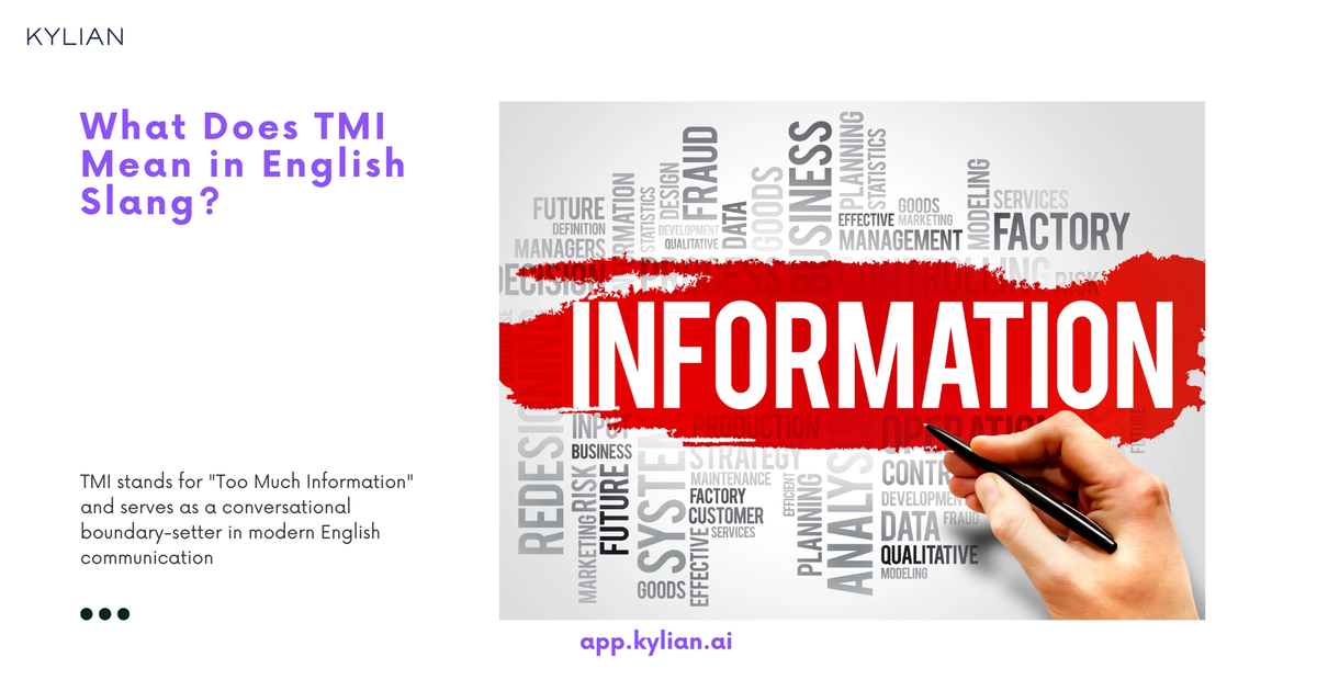 TMI Definition & Meaning
