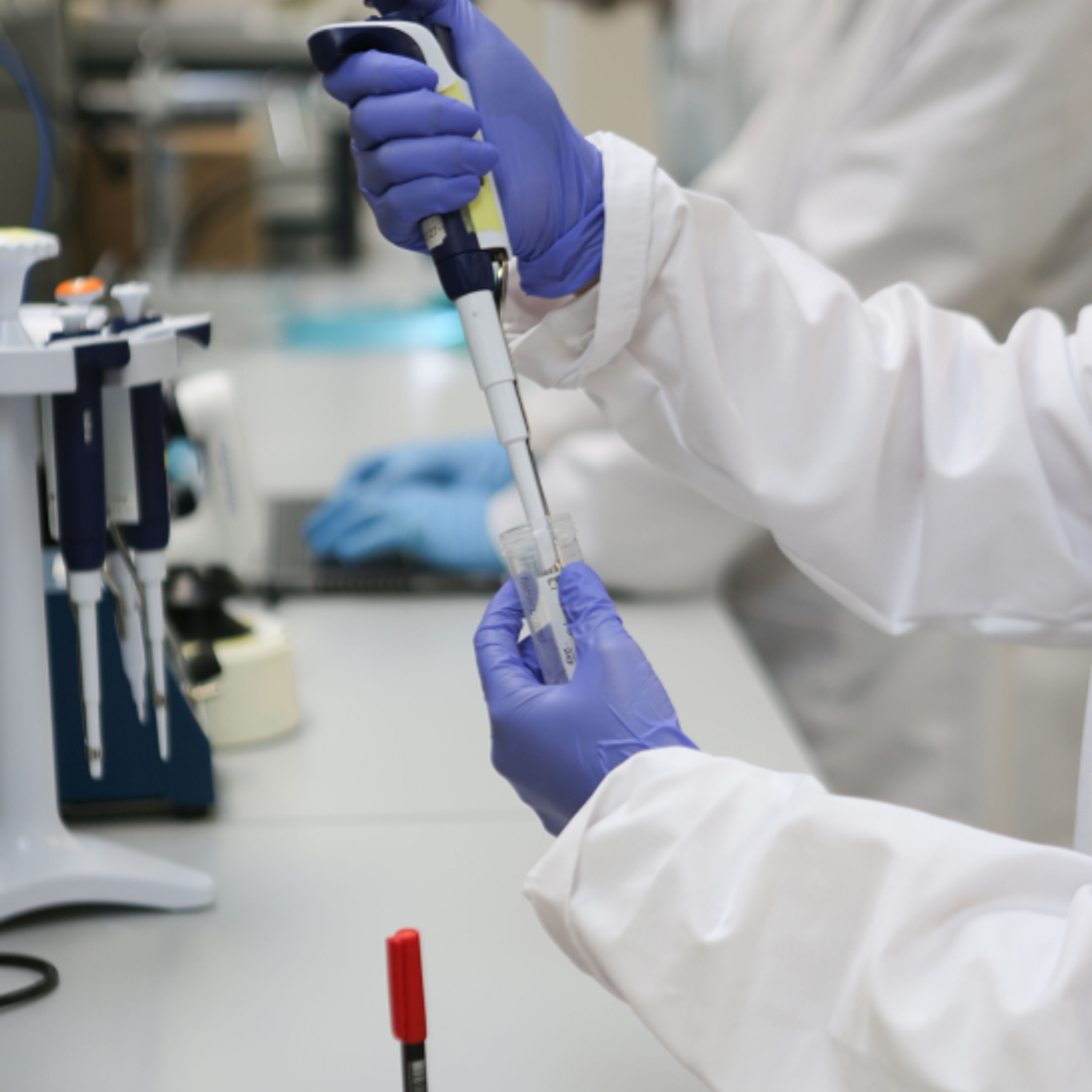 Image of a pie chart