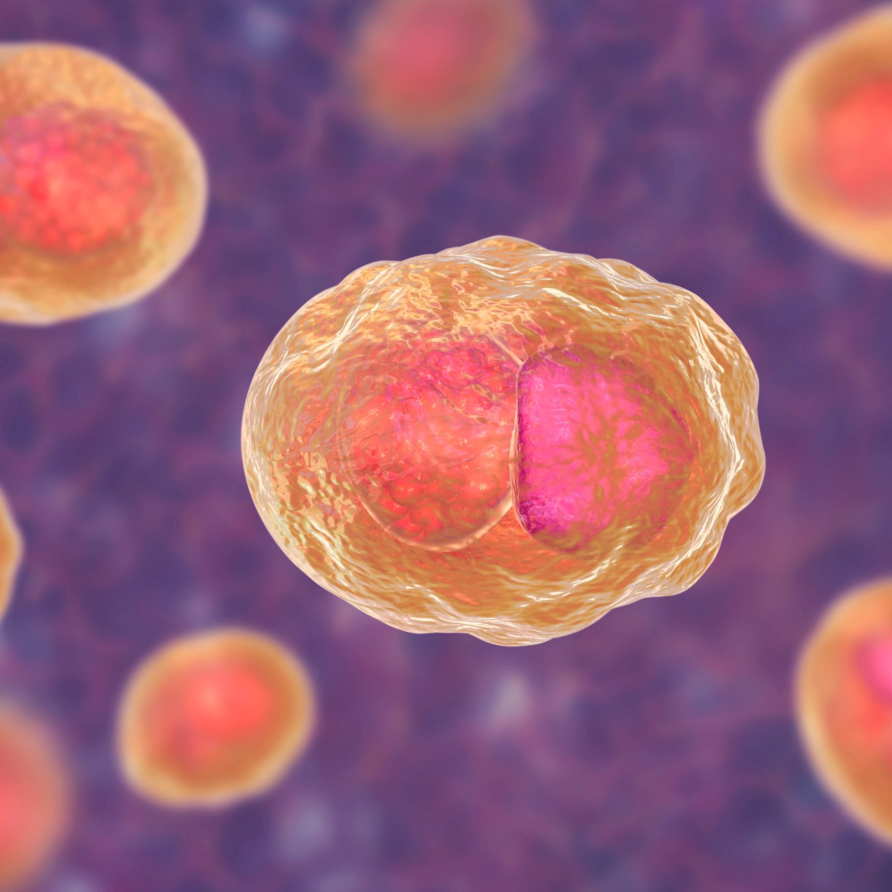 Meep image without alt tag