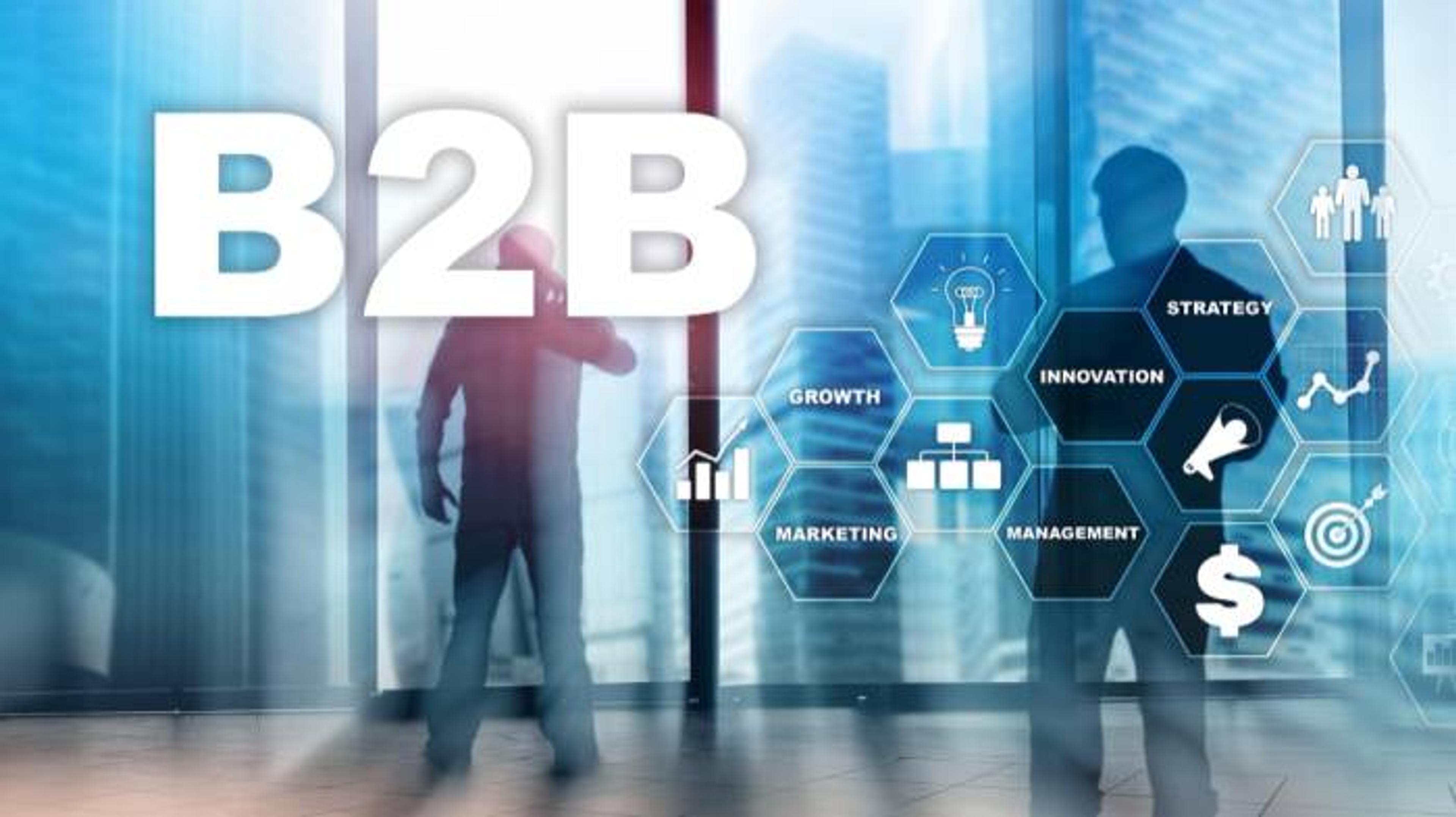 B2B SaaS Business