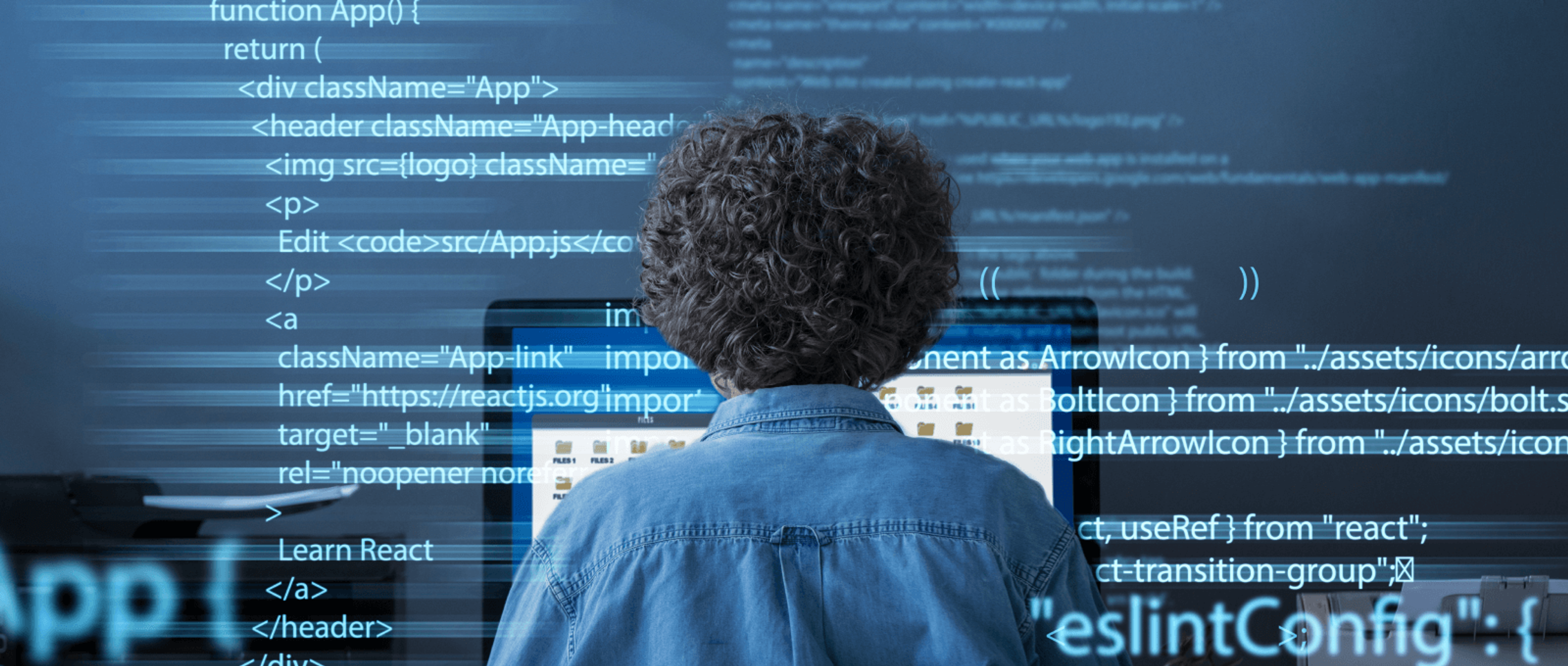 offshore software development