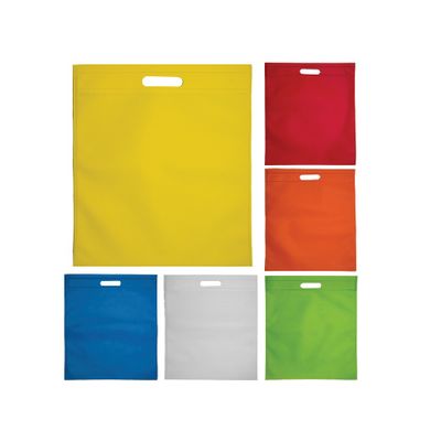 Non Woven Bag A4 Size Document