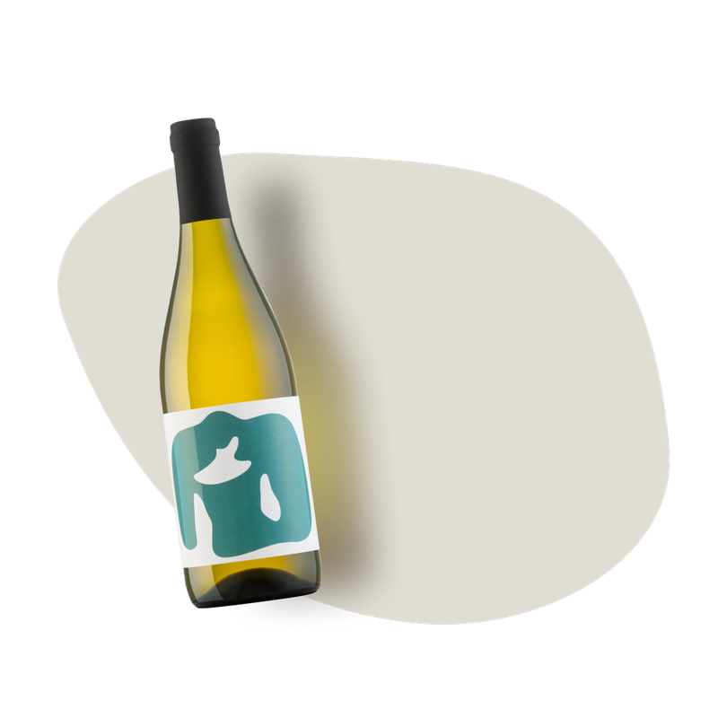 Sauvignon
