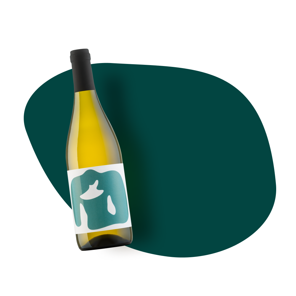 Sauvignon