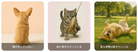 アップロードする画像のNG例 顔が写っていない 体と物がかぶっている 変な姿勢