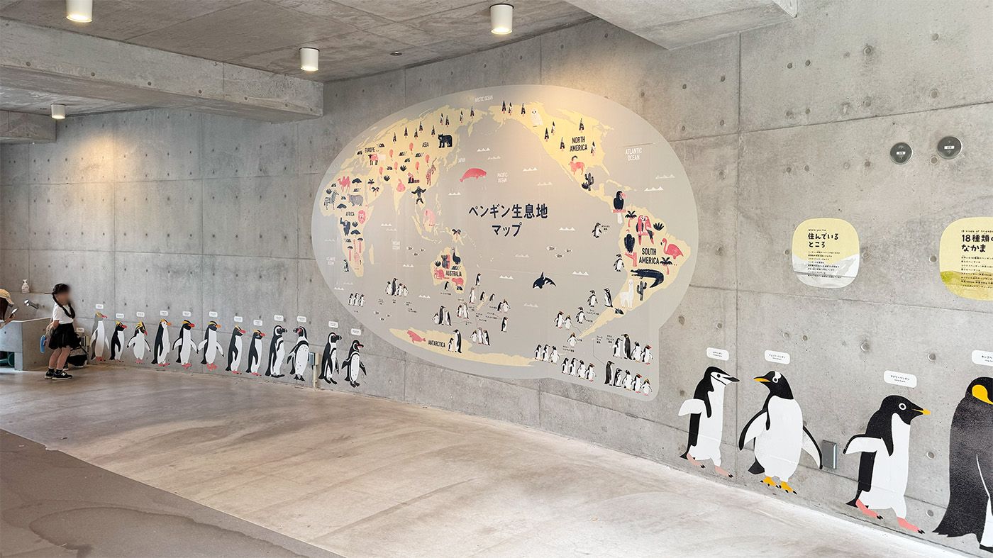 ペンギンたちの展示