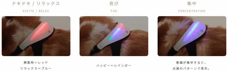 感情を色でお知らせ