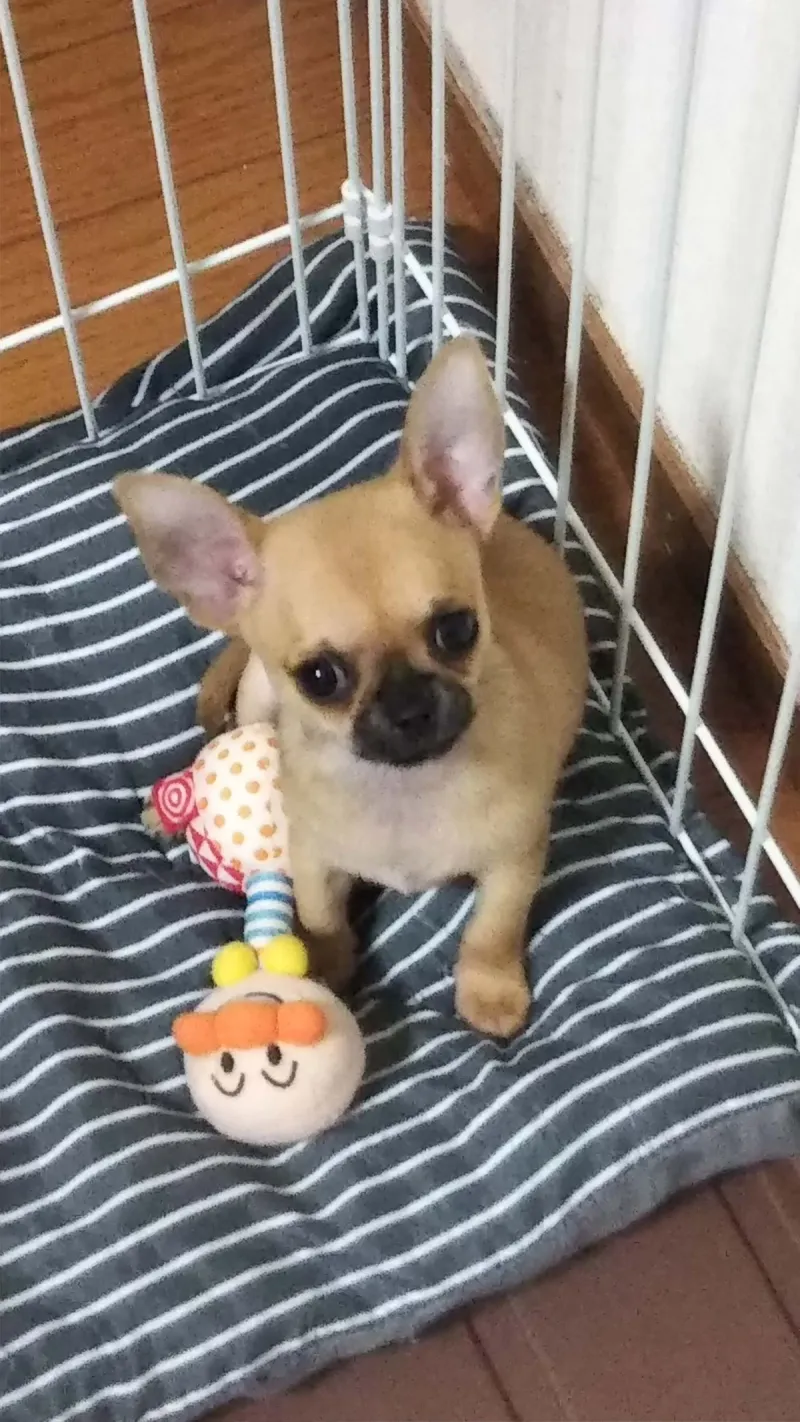 ALMONDTALTのプロフィール画像