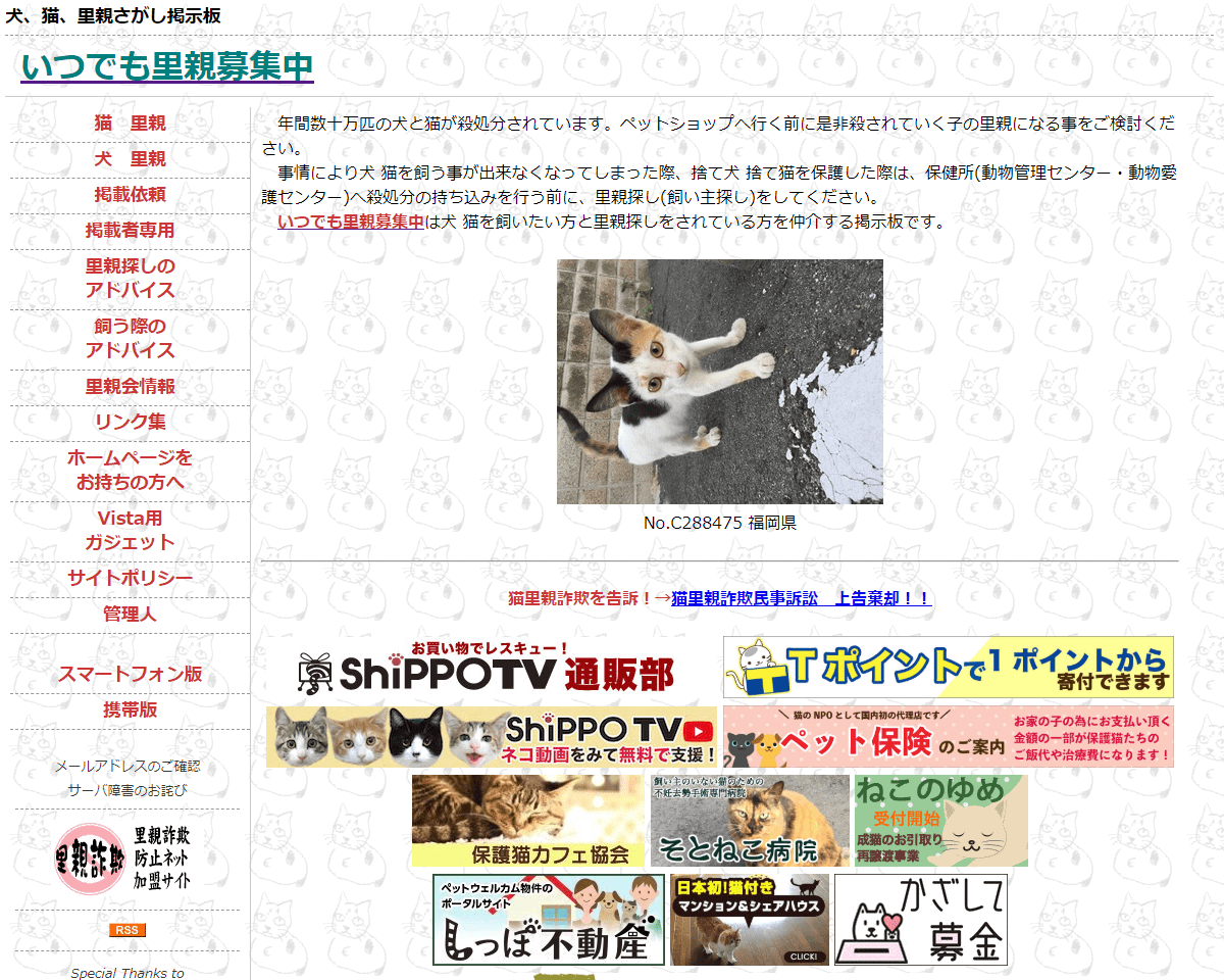 いつでも里親募集中