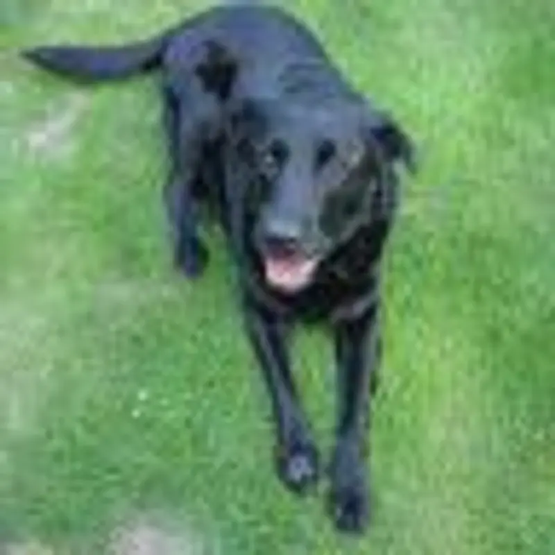 hiiroiro116のプロフィール画像