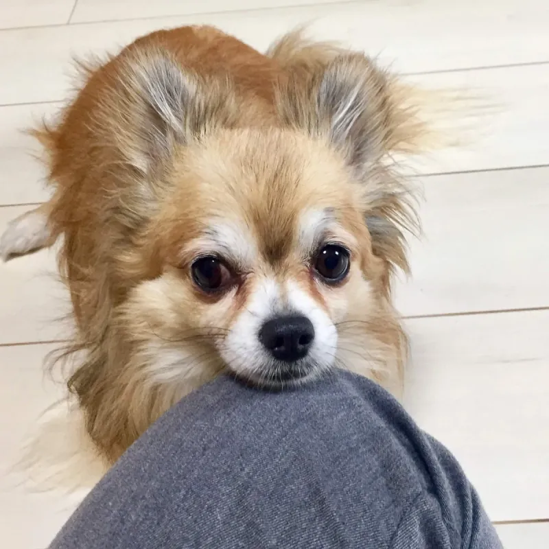 Yuki Kota profile image